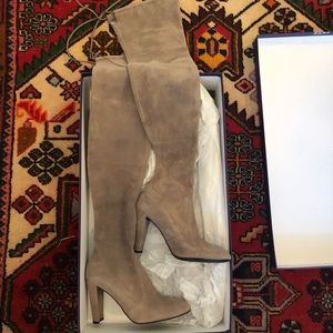 Stuart Weitzman OTK Highland Boots in Topo Suede